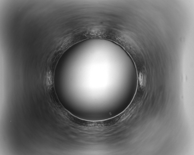 X0000094341107200711021446