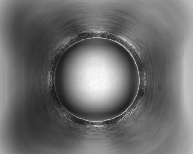 X0000094341110200711021446