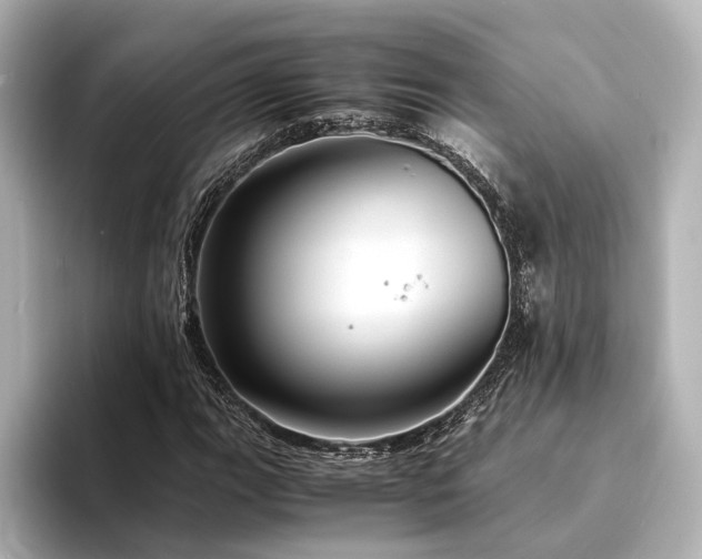 X0000094341111200711021446