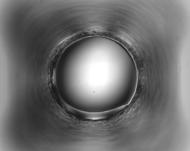 X0000094341112200711021446