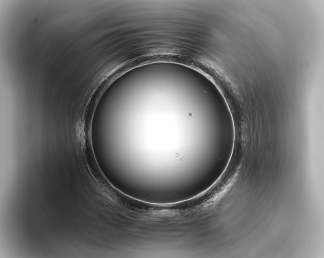 X0000094341113200711021446