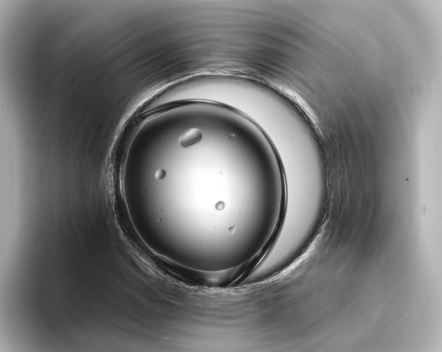 X0000094341114200711021446