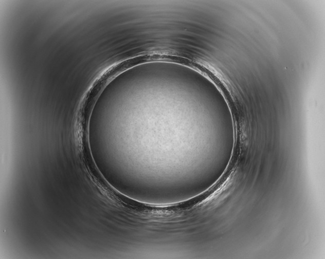 X0000094341115200711021446