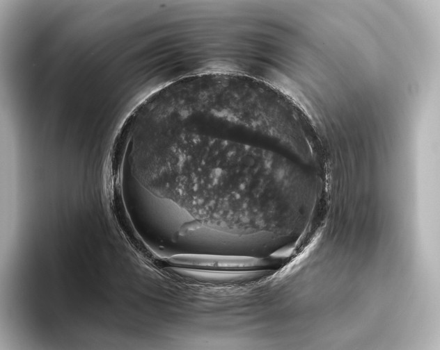X0000094341117200711021446