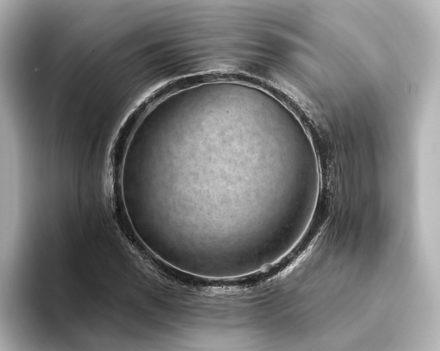 X0000094341118200711021446