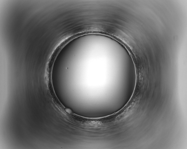 X0000094341119200711021446