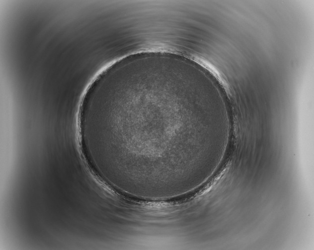 X0000094341120200711021446