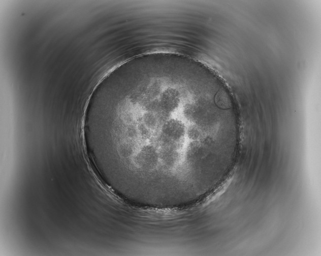 X0000094341121200711021446