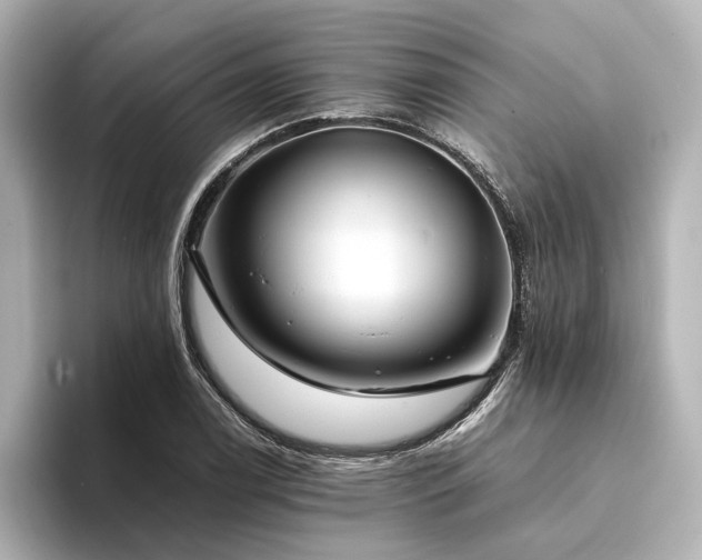 X0000094341122200711021446