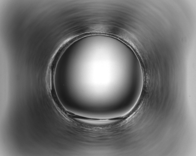 X0000094341123200711021446