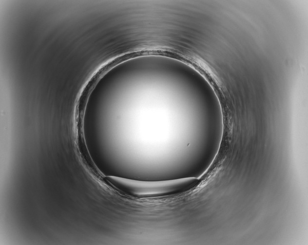 X0000094341124200711021446