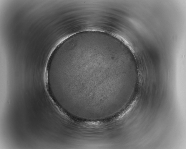 X0000094341125200711021446