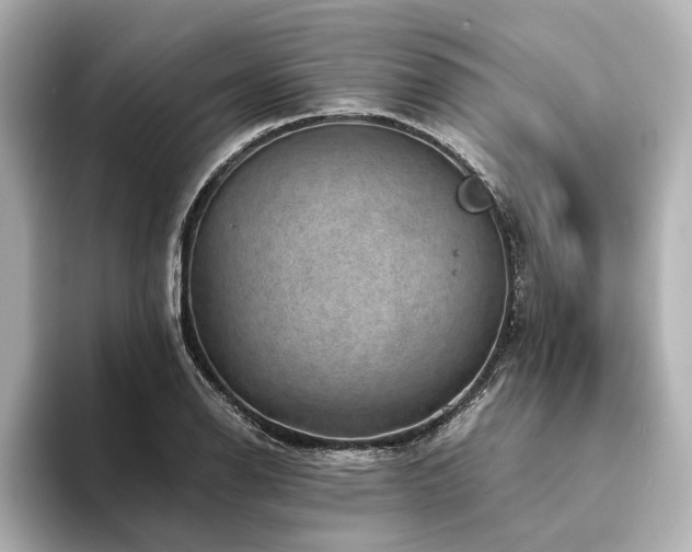 X0000094341126200711021446