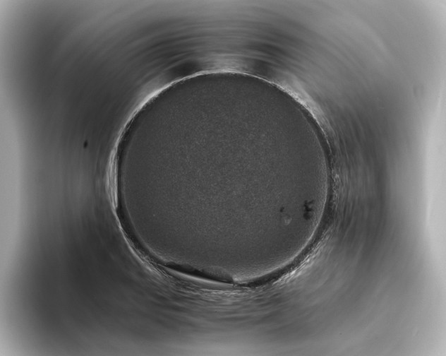 X0000094341127200711021446