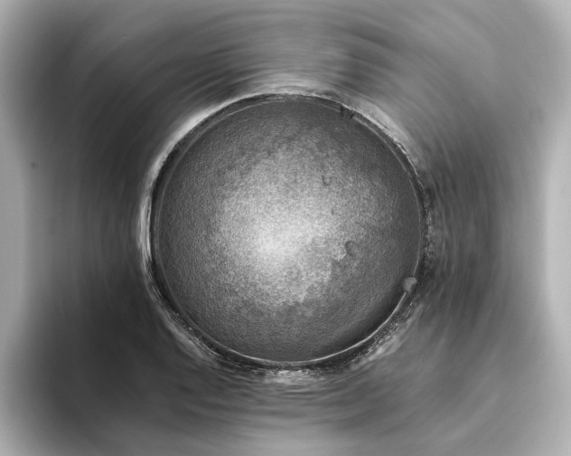 X0000094341128200711021446