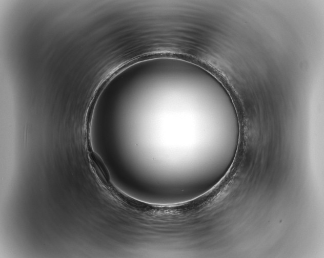 X0000094341129200711021446