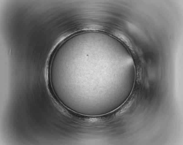 X0000094341130200711021446