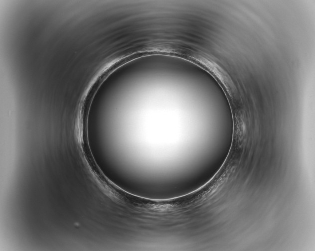 X0000094341131200711021446