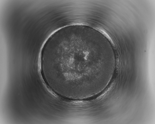 X0000094341132200711021446