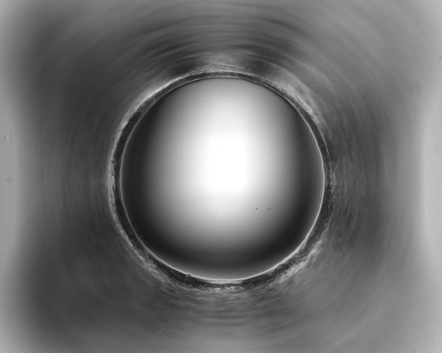 X0000094341133200711021446