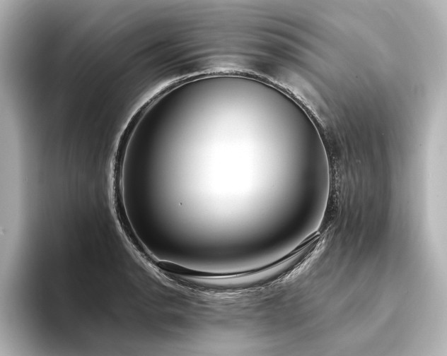 X0000094341134200711021446
