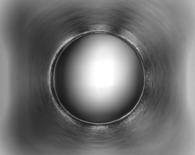 X0000094341135200711021446