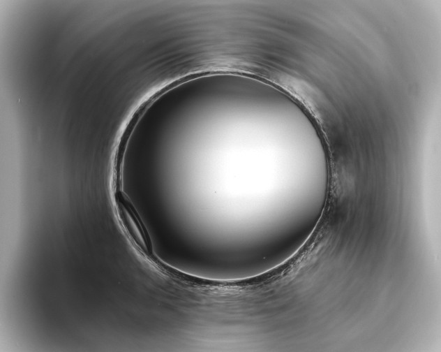 X0000094341136200711021446