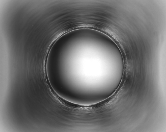 X0000094341137200711021446