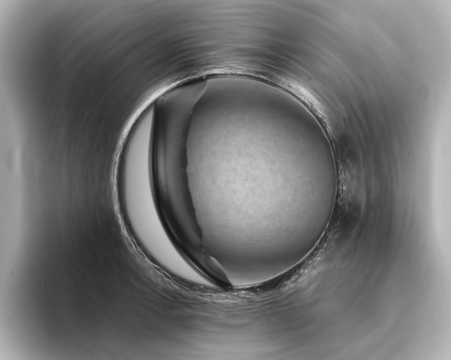 X0000094341138200711021446