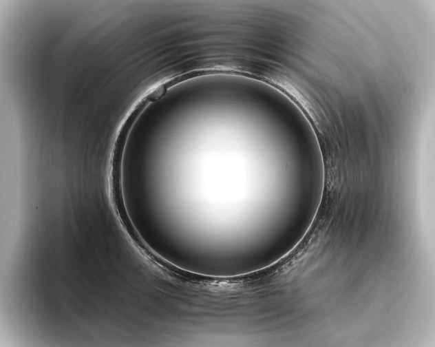 X0000094341139200711021446