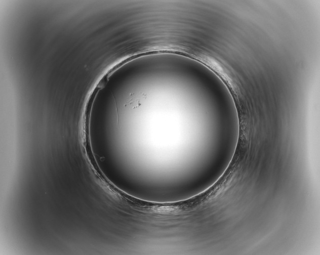 X0000094341140200711021446