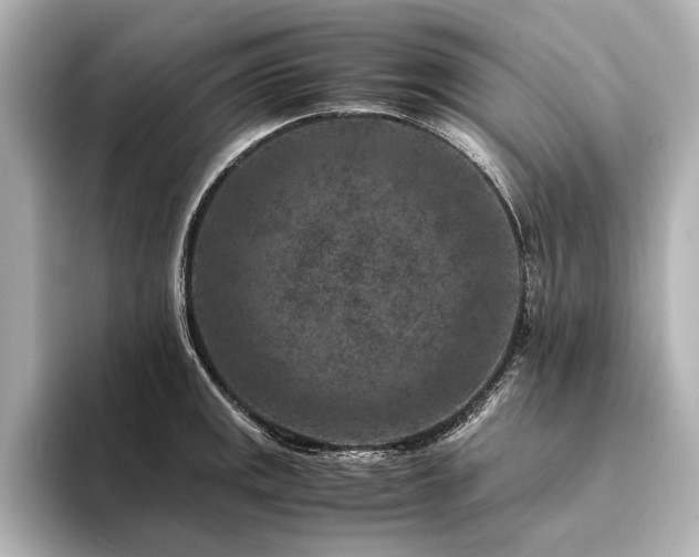X0000094341141200711021446
