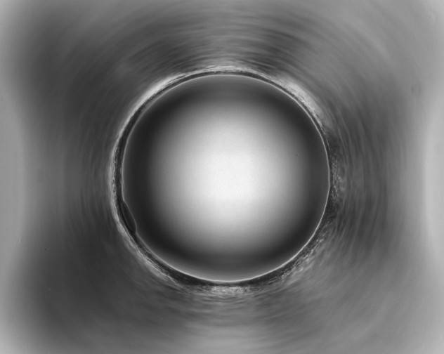 X0000094341142200711021446