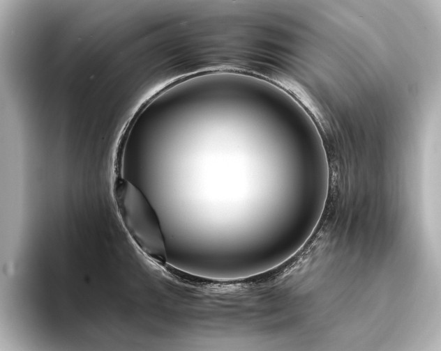 X0000094341143200711021446