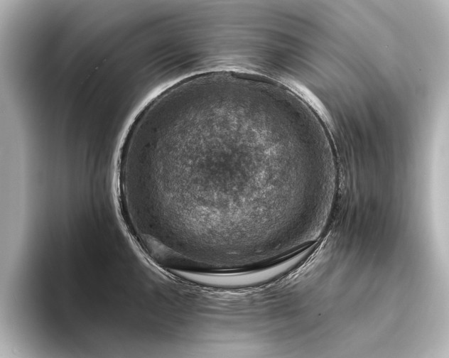 X0000094341144200711021446