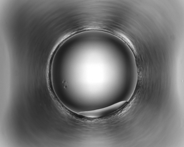 X0000094341146200711021446