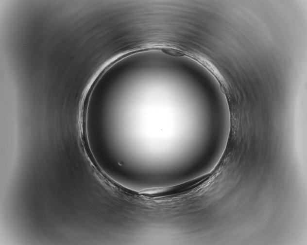 X0000094341148200711021446