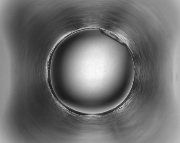 X0000094341151200711021446