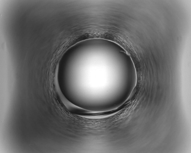 X0000094341153200711021446