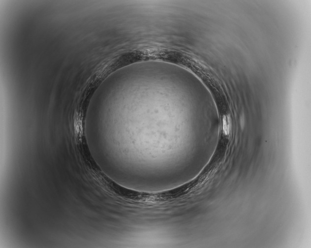 X0000094341155200711021445