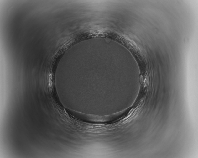 X0000094341156200711021445