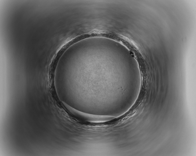 X0000094341160200711021445