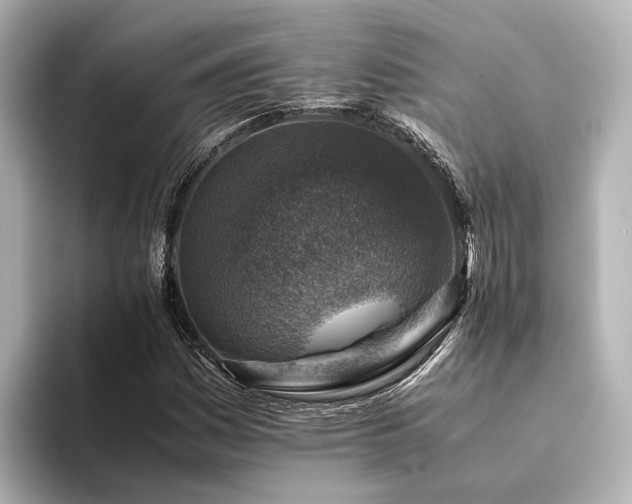 X0000094341161200711021445