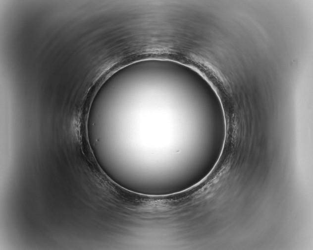 X0000094341162200711021445