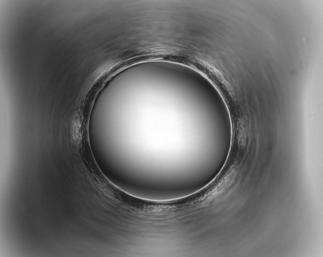 X0000094341163200711021445