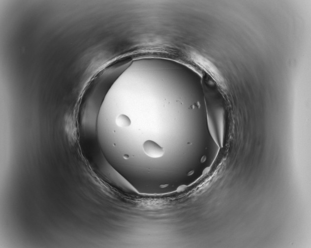 X0000094341164200711021445