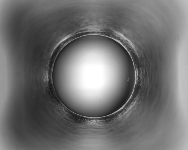X0000094341166200711021445