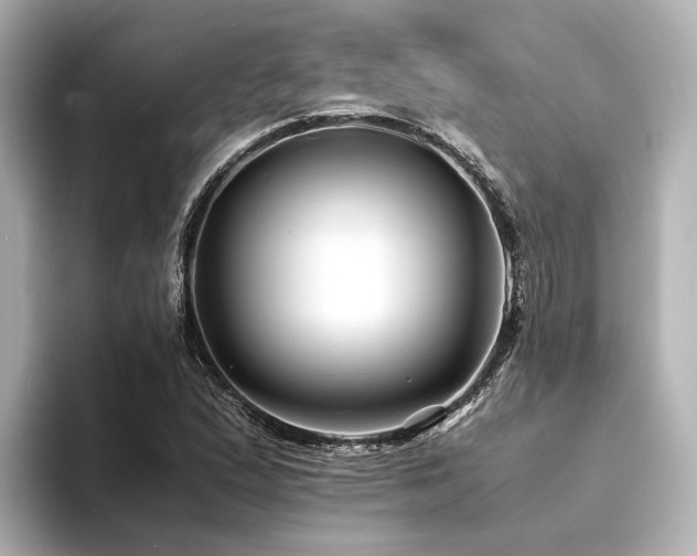 X0000094341167200711021445