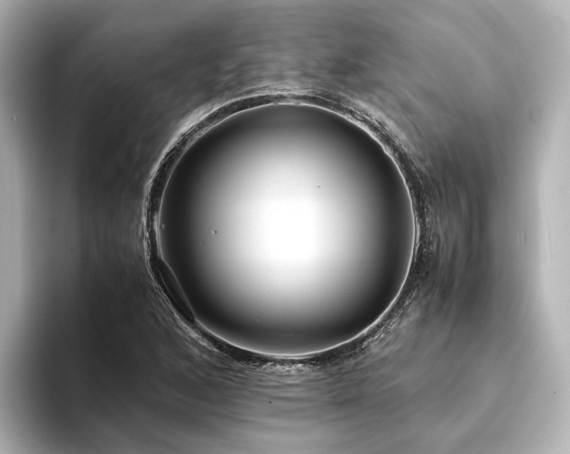 X0000094341168200711021445