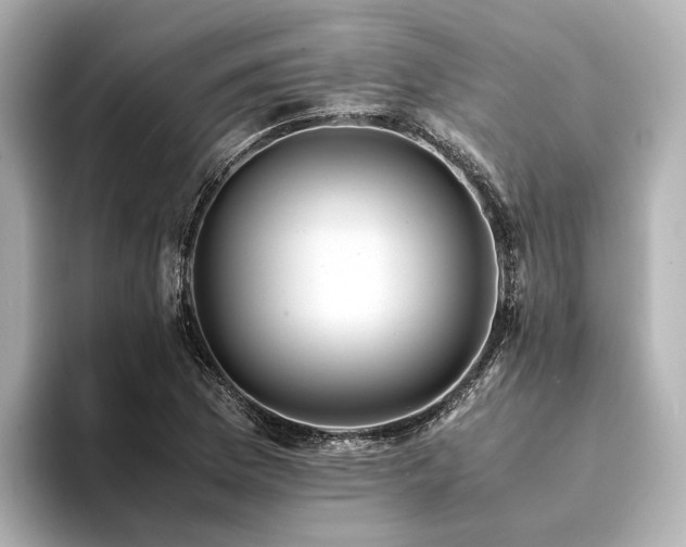 X0000094341169200711021445